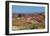 USA, Nevada. Valley of Fire State Park, Mouse's Tank Road looking north-Bernard Friel-Framed Photographic Print