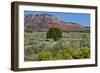 USA, Nevada, Valley of Fire State Park. West Valley of Fire Highway-Bernard Friel-Framed Photographic Print