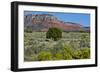 USA, Nevada, Valley of Fire State Park. West Valley of Fire Highway-Bernard Friel-Framed Photographic Print