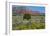 USA, Nevada, Valley of Fire State Park. West Valley of Fire Highway-Bernard Friel-Framed Photographic Print