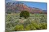 USA, Nevada, Valley of Fire State Park. West Valley of Fire Highway-Bernard Friel-Mounted Photographic Print