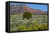 USA, Nevada, Valley of Fire State Park. West Valley of Fire Highway-Bernard Friel-Framed Stretched Canvas