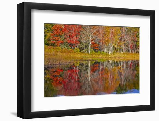 USA, New England, Maine, Lake with Fall colors reflected in calm water-Sylvia Gulin-Framed Photographic Print