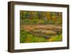 USA, New England, Maine, Mt. Desert Island, Acadia National park with lily pads-Sylvia Gulin-Framed Photographic Print