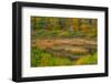 USA, New England, Maine, Mt. Desert Island, Acadia National park with lily pads-Sylvia Gulin-Framed Photographic Print