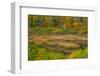 USA, New England, Maine, Mt. Desert Island, Acadia National park with lily pads-Sylvia Gulin-Framed Photographic Print