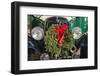 USA, New England, Massachusetts, Nantucket Island, Nantucket Town, old bus, with Christmas wreath-Panoramic Images-Framed Photographic Print