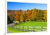 USA, New England, Vermont countryside with curved gravel road fence in Autumn-Sylvia Gulin-Framed Photographic Print