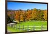 USA, New England, Vermont countryside with curved gravel road fence in Autumn-Sylvia Gulin-Framed Photographic Print