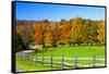 USA, New England, Vermont countryside with curved gravel road fence in Autumn-Sylvia Gulin-Framed Stretched Canvas