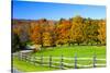 USA, New England, Vermont countryside with curved gravel road fence in Autumn-Sylvia Gulin-Stretched Canvas