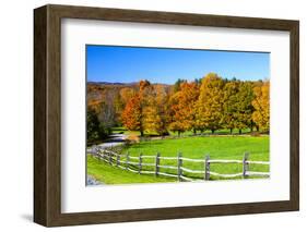 USA, New England, Vermont countryside with curved gravel road fence in Autumn-Sylvia Gulin-Framed Photographic Print