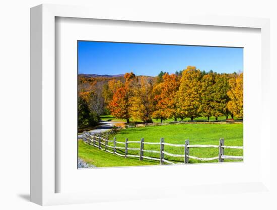 USA, New England, Vermont countryside with curved gravel road fence in Autumn-Sylvia Gulin-Framed Photographic Print