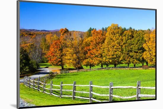 USA, New England, Vermont countryside with curved gravel road fence in Autumn-Sylvia Gulin-Mounted Photographic Print