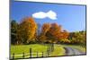 USA, New England, Vermont countryside with curved gravel road fence in Autumn-Sylvia Gulin-Mounted Photographic Print