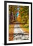 USA, New England, Vermont gravel road lined with sugar maple in full Fall color-Sylvia Gulin-Framed Photographic Print