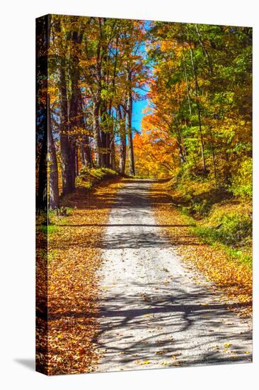 USA, New England, Vermont gravel road lined with sugar maple in full Fall color-Sylvia Gulin-Stretched Canvas