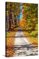 USA, New England, Vermont gravel road lined with sugar maple in full Fall color-Sylvia Gulin-Stretched Canvas