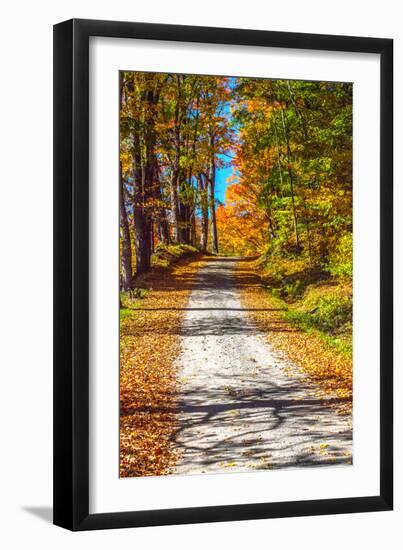 USA, New England, Vermont gravel road lined with sugar maple in full Fall color-Sylvia Gulin-Framed Photographic Print
