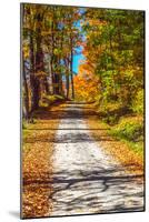 USA, New England, Vermont gravel road lined with sugar maple in full Fall color-Sylvia Gulin-Mounted Photographic Print