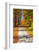 USA, New England, Vermont gravel road lined with sugar maple in full Fall color-Sylvia Gulin-Framed Photographic Print