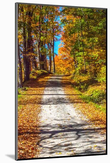 USA, New England, Vermont gravel road lined with sugar maple in full Fall color-Sylvia Gulin-Mounted Photographic Print