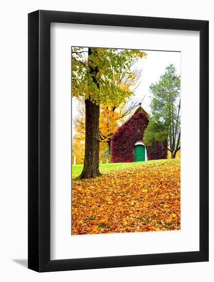 USA, New England, Vermont old brick building covered with ivy in Fall color-Sylvia Gulin-Framed Photographic Print