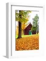 USA, New England, Vermont old brick building covered with ivy in Fall color-Sylvia Gulin-Framed Photographic Print
