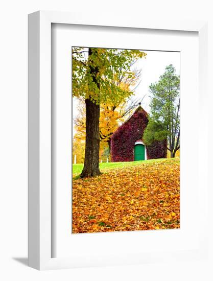 USA, New England, Vermont old brick building covered with ivy in Fall color-Sylvia Gulin-Framed Photographic Print
