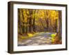 USA, New England, Vermont tree-lined gravel road with Sugar Maple in Autumn-Sylvia Gulin-Framed Photographic Print