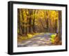 USA, New England, Vermont tree-lined gravel road with Sugar Maple in Autumn-Sylvia Gulin-Framed Photographic Print