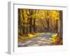 USA, New England, Vermont tree-lined gravel road with Sugar Maple in Autumn-Sylvia Gulin-Framed Photographic Print