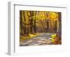 USA, New England, Vermont tree-lined gravel road with Sugar Maple in Autumn-Sylvia Gulin-Framed Photographic Print