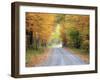 USA, New England, Vermont tree-lined roadway in Autumns Fall colors.-Sylvia Gulin-Framed Photographic Print