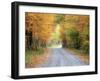 USA, New England, Vermont tree-lined roadway in Autumns Fall colors.-Sylvia Gulin-Framed Photographic Print