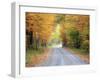 USA, New England, Vermont tree-lined roadway in Autumns Fall colors.-Sylvia Gulin-Framed Photographic Print