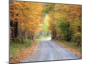 USA, New England, Vermont tree-lined roadway in Autumns Fall colors.-Sylvia Gulin-Mounted Photographic Print