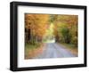 USA, New England, Vermont tree-lined roadway in Autumns Fall colors.-Sylvia Gulin-Framed Photographic Print