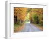 USA, New England, Vermont tree-lined roadway in Autumns Fall colors.-Sylvia Gulin-Framed Photographic Print