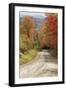 USA, New England, Vermont tree-lined roadway in Autumns Fall colors.-Sylvia Gulin-Framed Photographic Print