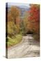 USA, New England, Vermont tree-lined roadway in Autumns Fall colors.-Sylvia Gulin-Stretched Canvas