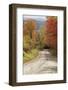 USA, New England, Vermont tree-lined roadway in Autumns Fall colors.-Sylvia Gulin-Framed Photographic Print