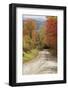 USA, New England, Vermont tree-lined roadway in Autumns Fall colors.-Sylvia Gulin-Framed Photographic Print