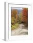 USA, New England, Vermont tree-lined roadway in Autumns Fall colors.-Sylvia Gulin-Framed Photographic Print