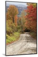 USA, New England, Vermont tree-lined roadway in Autumns Fall colors.-Sylvia Gulin-Mounted Photographic Print