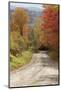 USA, New England, Vermont tree-lined roadway in Autumns Fall colors.-Sylvia Gulin-Mounted Photographic Print