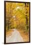 USA, New England, Vermont tree-lined roadway in Autumns Fall colors.-Sylvia Gulin-Framed Photographic Print