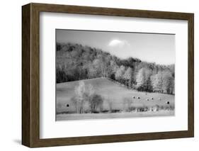 USA, New England, Vermont-Sylvia Gulin-Framed Photographic Print