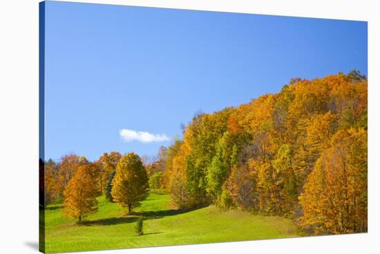 USA, New England, Vermont-Sylvia Gulin-Stretched Canvas