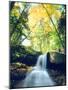 USA, New Hampshire, a Waterfall in the White Mountains-Jaynes Gallery-Mounted Photographic Print